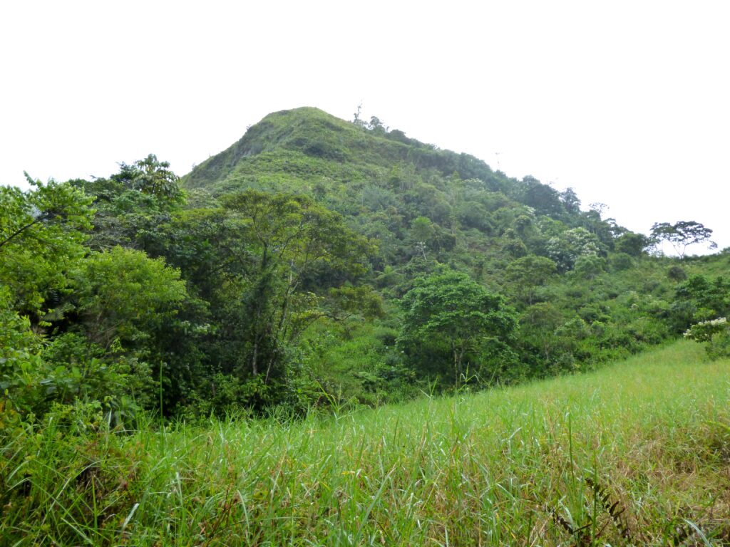 The burial mound (la tola) of El Remanso