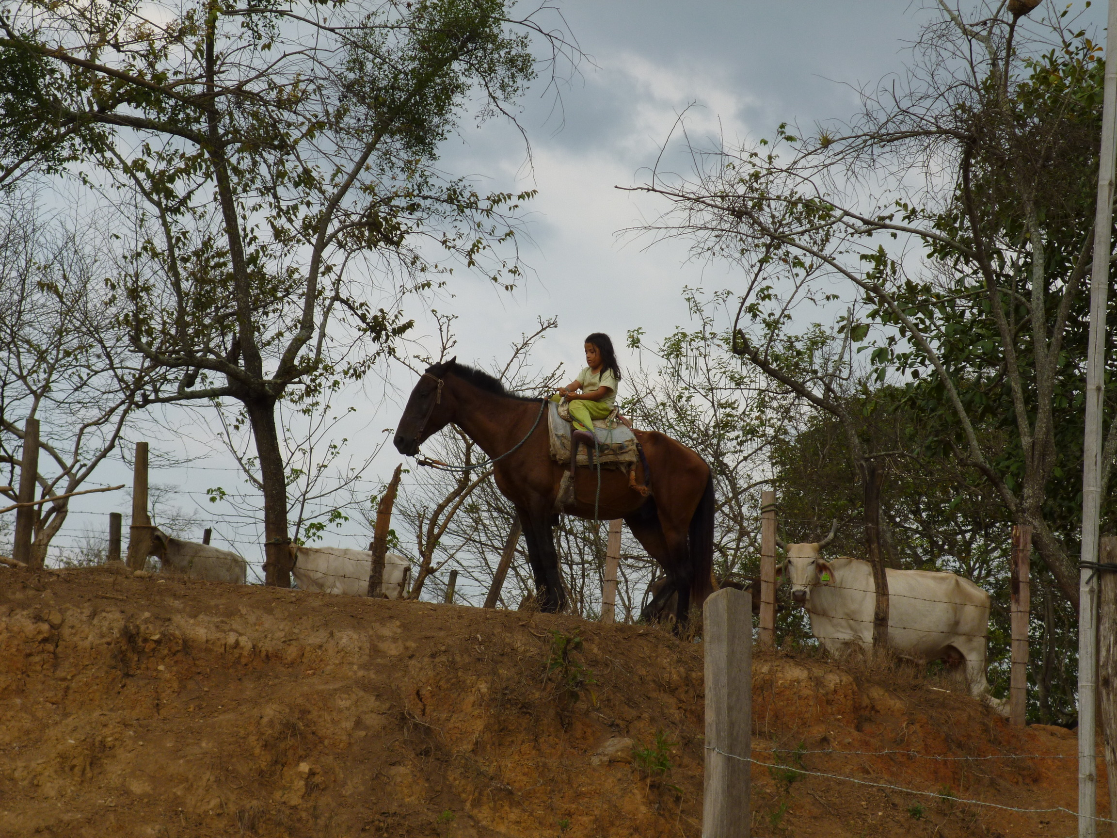 Girl on a horse, Puyanog